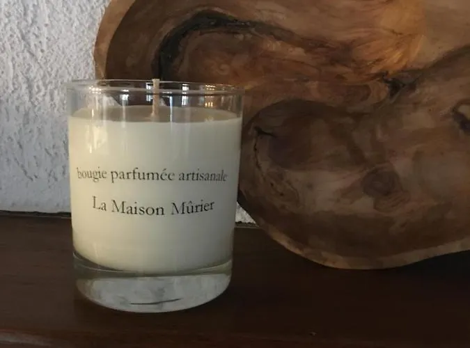 La Maison Murier Bed & Breakfast Chef-Boutonne